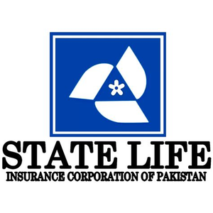thestatuslife.com
